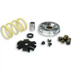 VARIATEUR MULTIVAR MALOSSI POUR LES CYCLOMOTEURS PEUGEOT FOX, HONDA WALLARO 