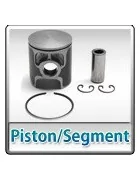 Pistons / Segments